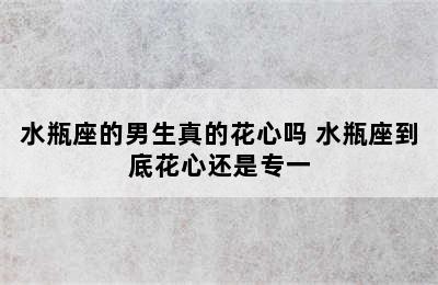 水瓶座的男生真的花心吗 水瓶座到底花心还是专一